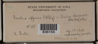 Image Associated With the Occurence